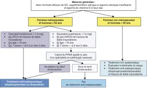 Algorithme de prise en charge de l'ostéoporose sous corticothérapie. Si équivalent prednisone ≥ 7,5 mg/j, un traitement anti-ostéoporotique est envisagé.